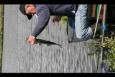 IMG 0591