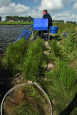 IMG 0093 1-1